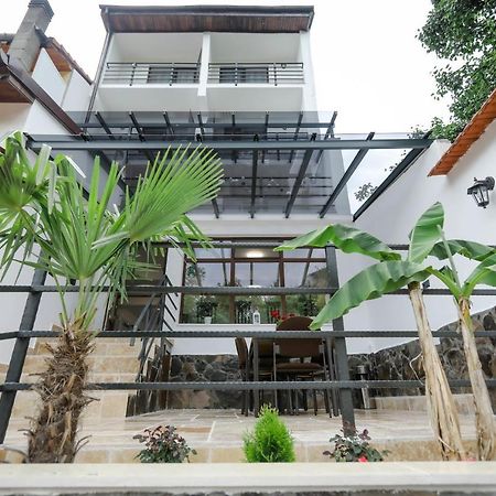 伯伊莱海尔库拉内 Casa Marica酒店 外观 照片